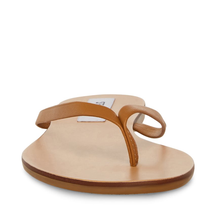 Brown Steve Madden Image Leather Women's Flip Flops | PH 7341GNJ